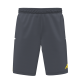 adidas HTHC Shorts Herren grau