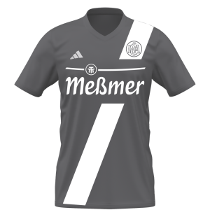 adidas DCADA Torwarttrikot Kurzarm grau
