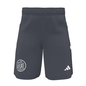 adidas DCADA Shorts Youth grau