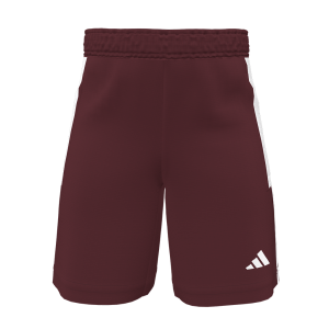 THC Ahrensburg Shorts burgundy