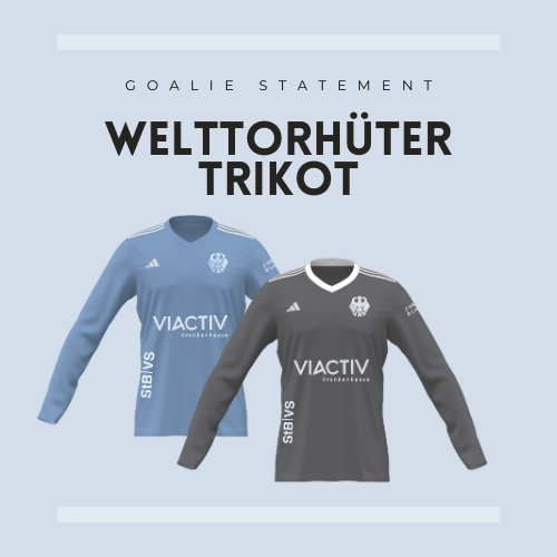 PERFORMANCE trifft auf STIL. Blaues und graues DHB Goalie Trikot auf blauem Hintergrund. 
