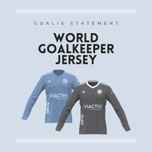 PERFORMANCE meets STYLE. Blue and gray DHB goalie jersey on a blue background.