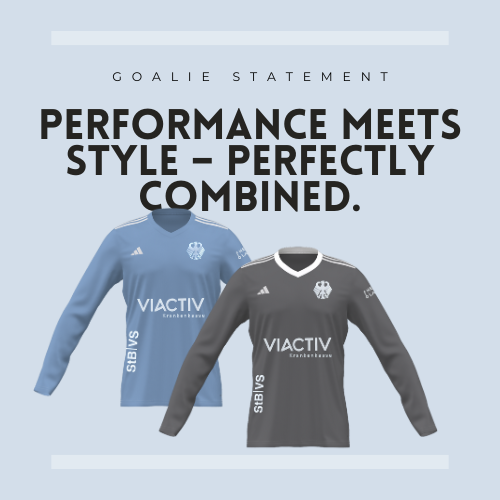 PERFORMANCE meets STYLE. Blue and gray DHB goalie jersey on a blue background.