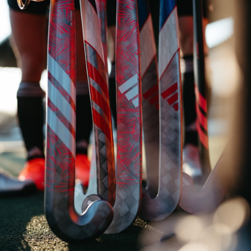 Bild von einer Auswahl von Hockeyschl&auml;gern